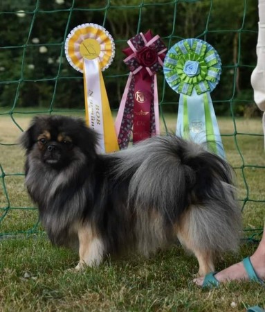 Kenneth BIR i Tyskland